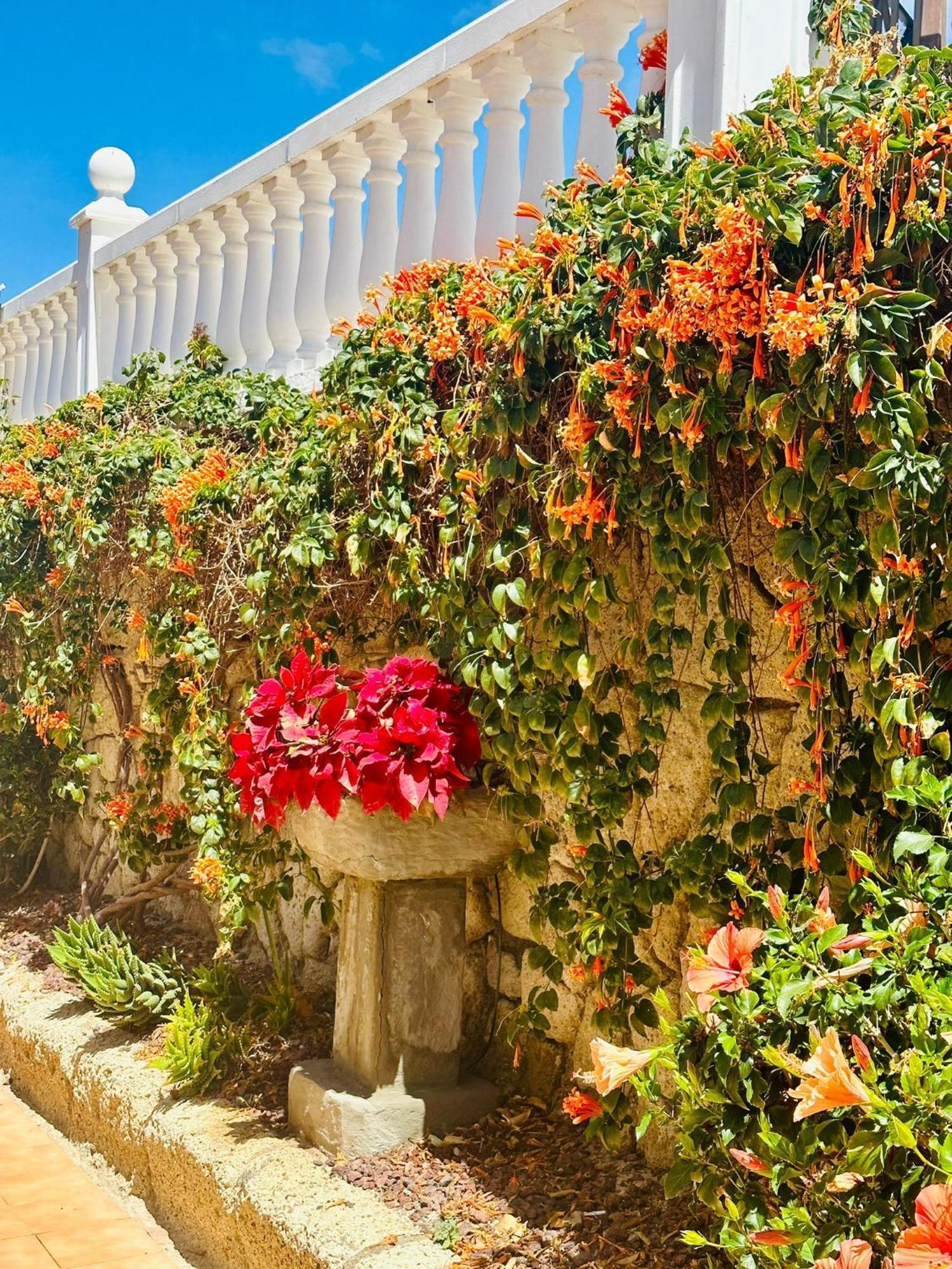 Sunny Sea View Apartment Center Of Las Americas Playa de las Américas Exterior foto